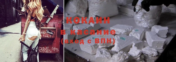 стаф Новозыбков