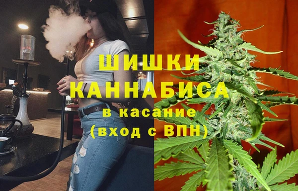 мдма Новодвинск