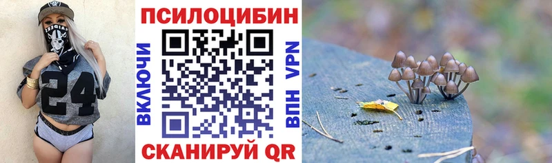 Псилоцибиновые грибы Psilocybe купить цена Чебоксары